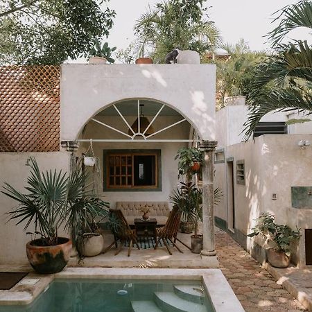 Casa Mezcla - Bed & Breakfast Mérida Dış mekan fotoğraf