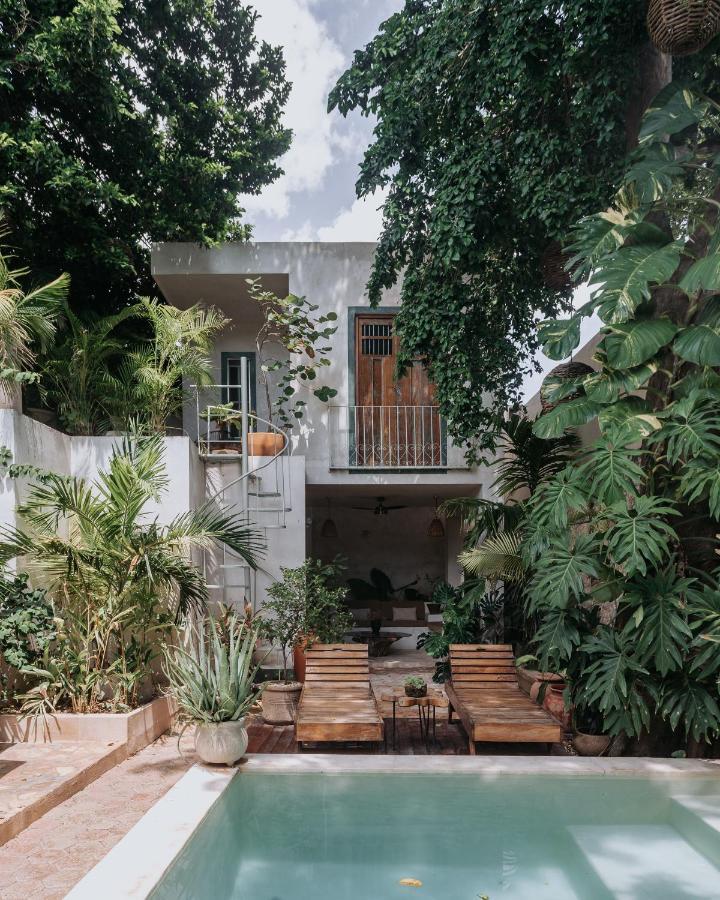 Casa Mezcla - Bed & Breakfast Mérida Dış mekan fotoğraf