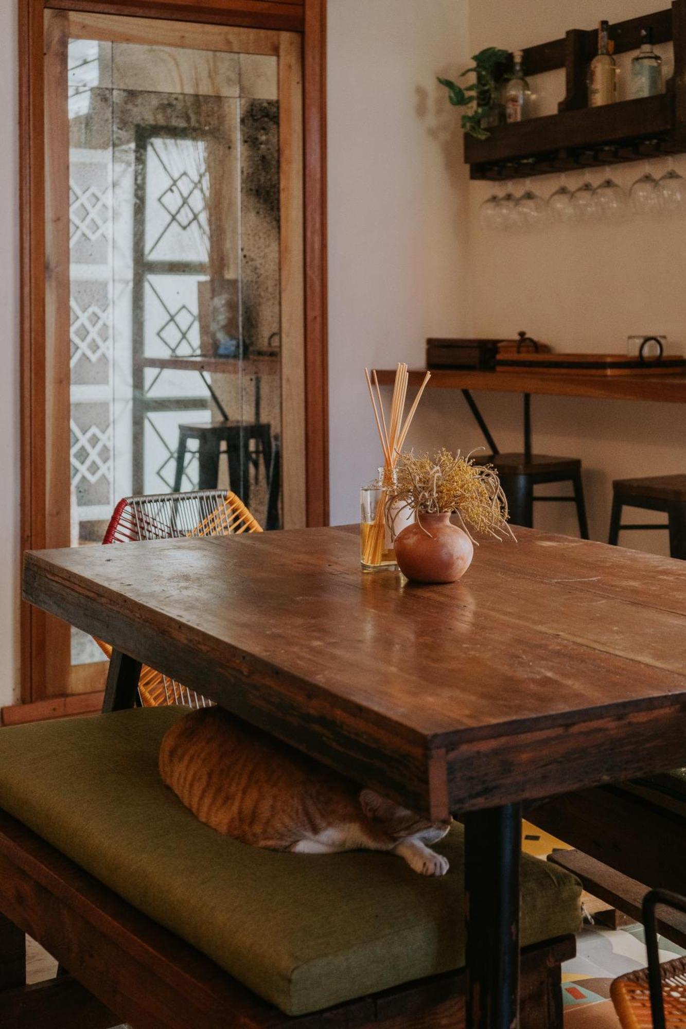 Casa Mezcla - Bed & Breakfast Mérida Dış mekan fotoğraf